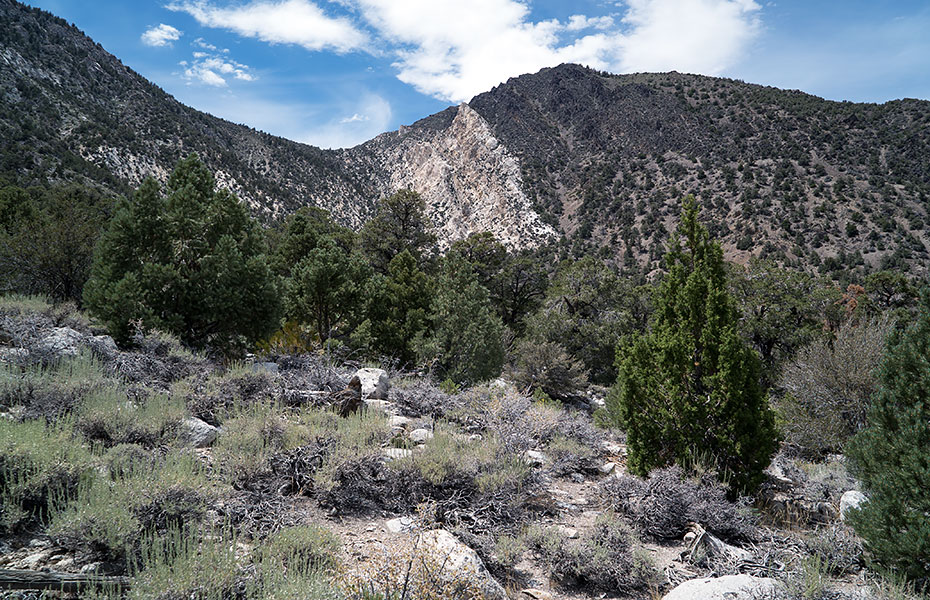 Inyo Mts: Squaw Peak