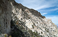 A Limestone Escarpment?