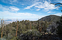 Waucoba Mountain from Squaw Peak's Summit