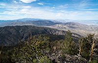 Looking North: White Mountain