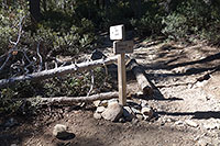 Junction of Dollar and Dry Lake Trails