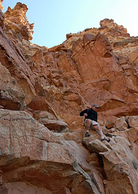 Down-climbing the Steps