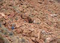 Traversing A Boulderfield