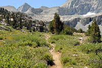 Below Forester Pass