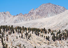 Mount Williamson - West Face