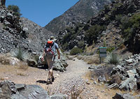 Nearing the Bridge