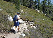 Yuri Hiking Switchbacks