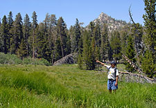 Mountain Meadow