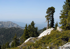 Wellman Divide Viewpoint