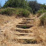 Phil Leacock Memorial Trail