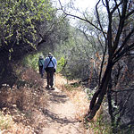 Phil Leacock Memorial Trail