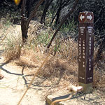 Phil Leacock Memorial Trail
