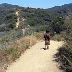 Phil Leacock Memorial Trail