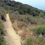 Phil Leacock Memorial Trail