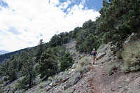 Telescope Peak Trail