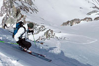 Scott Team Issue Ski Poles