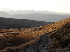 Laurel Lakes Road - Higher