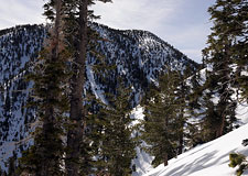 Cucamonga Peak