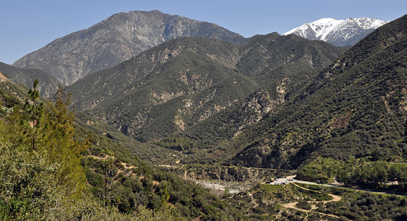Iron Mountain and Heaton Flat