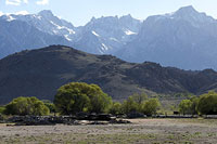 Langley, LeConte, & Lone Pine Peak