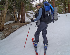 Andy & Giant Backpack