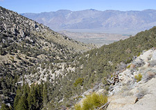 Looking Toward Owens Valley