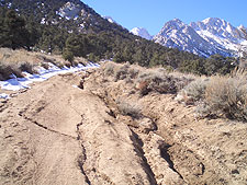 Near Tuttle Creek Trailhead