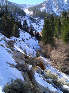 Tuttle Creek