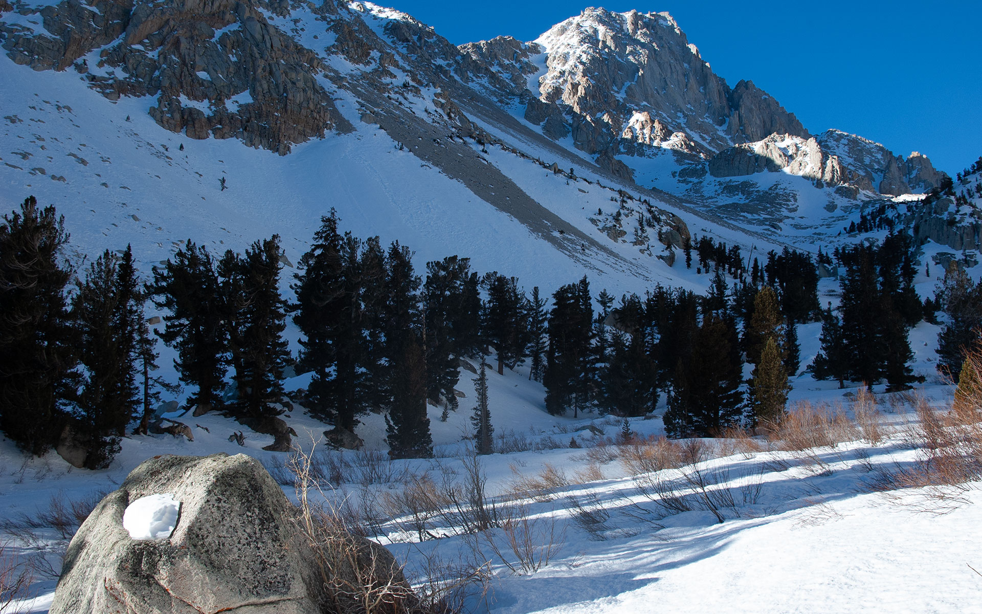 Mount Langley from Tuttle Creek