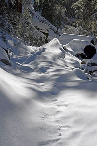 Snowy Ice House Canyon