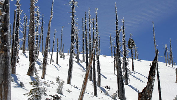 Bighorn Peak Burn Area