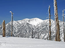 Mount Baldy's Southeast Bowl
