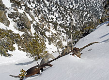 Looking Down the South Face