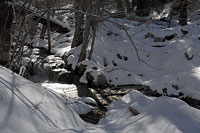 Following the Creek