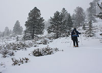 Round Valley Trail
