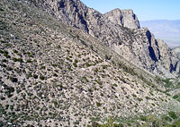 The Trail to Symmes Saddle