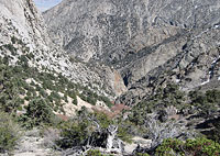 Williamson Creek Drainage