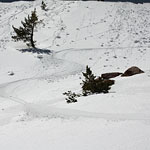 Ski Tracks