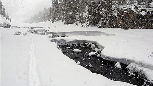 Sierra Snow Update