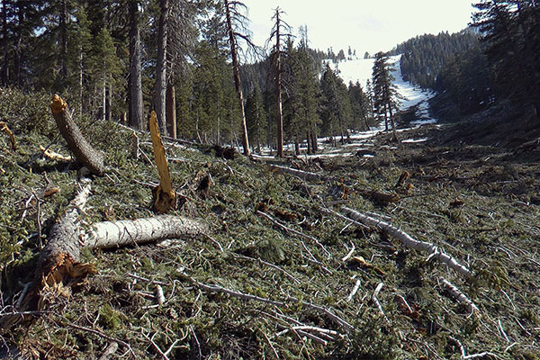 The South Fork Slide, Revisited