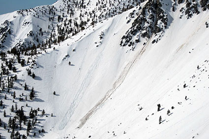 Baldy Bowl Avalanche & Level I SoCal Class
