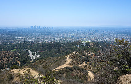 Downtown Driest Ever