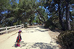 Mount Hollywood Trailhead