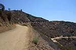 Mount Hollywood Trailhead