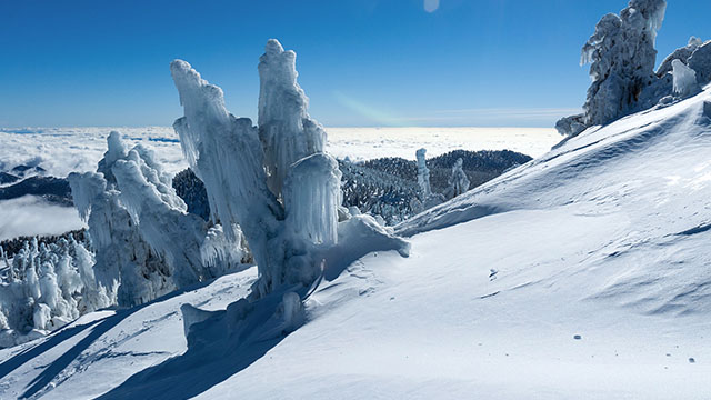 Extraordinary Ice Atop San Jacinto Peak, California