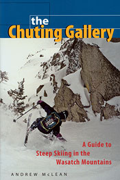 The Chuting Gallery - Andrew McLean