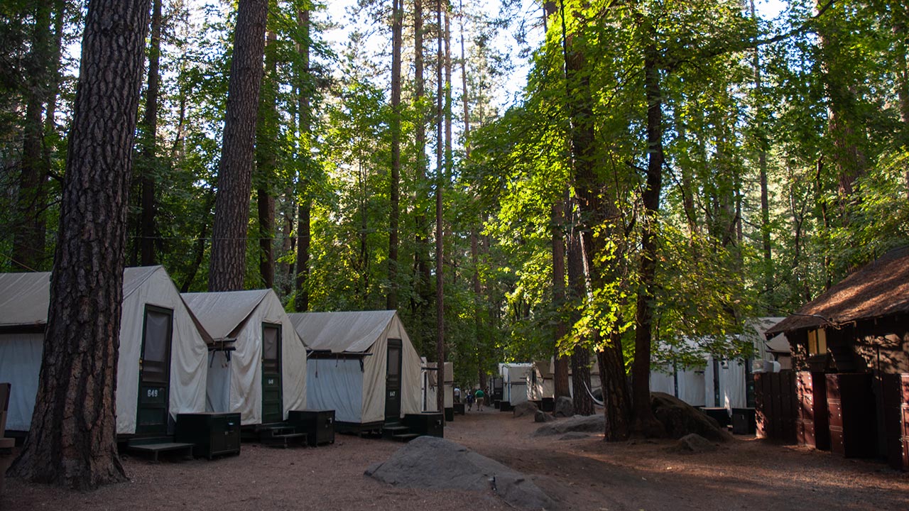 Curry Village Tents