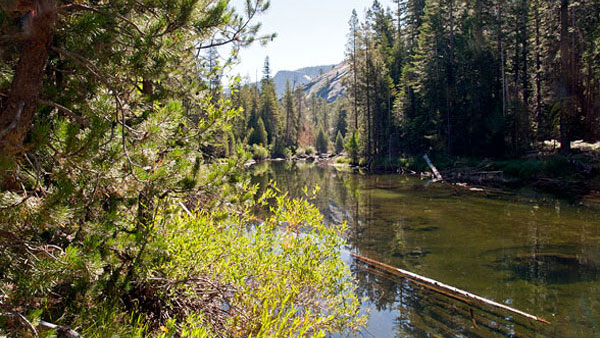 Merced River & Little Yosemite Valley