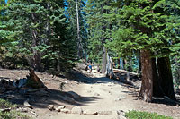 Half Dome Trail