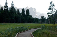 Yosemite Valley Meadow & Path